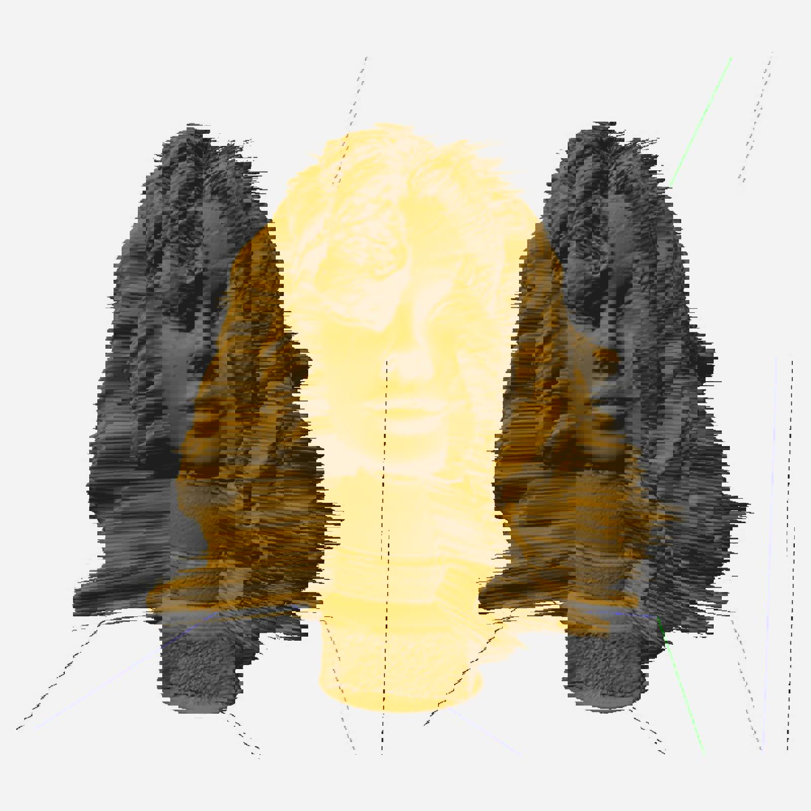 Volscan Profiler Manequin Head Scan