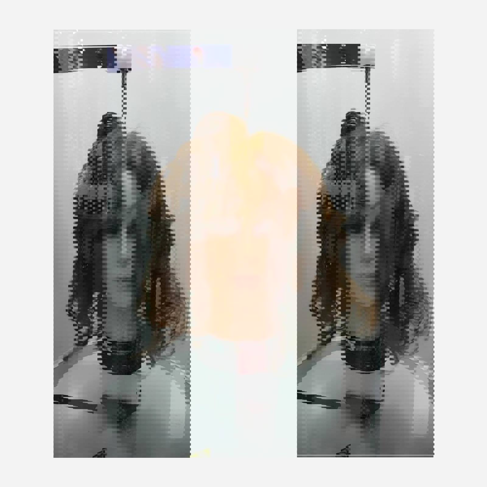 Volscan Profiler Manequin Head