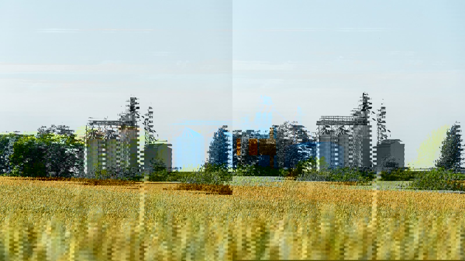 Silos on farmland near crops